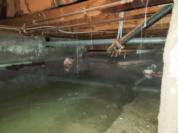 Best 24/7 water damage repair  in Adel, IA