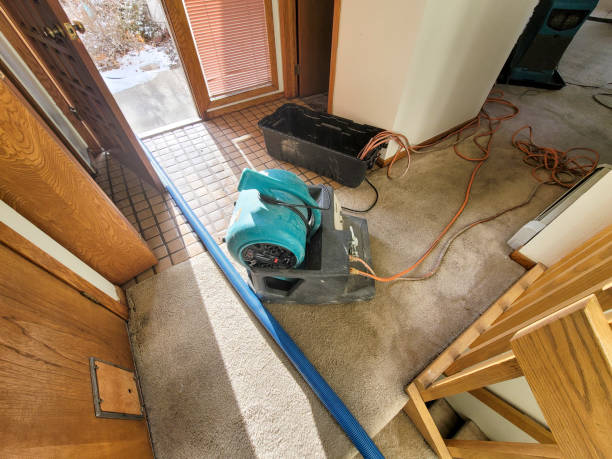 Best Commercial water damage restoration  in Adel, IA