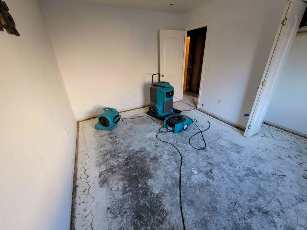 Best Emergency water damage restoration  in Adel, IA