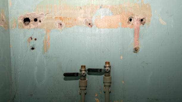 Best Mold removal after water damage  in Adel, IA